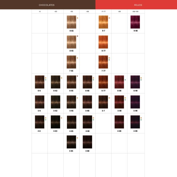 Schwarzkopf Igora Royal Kit 4 Tinturas + 1 Oxidante 1lt - Image 4