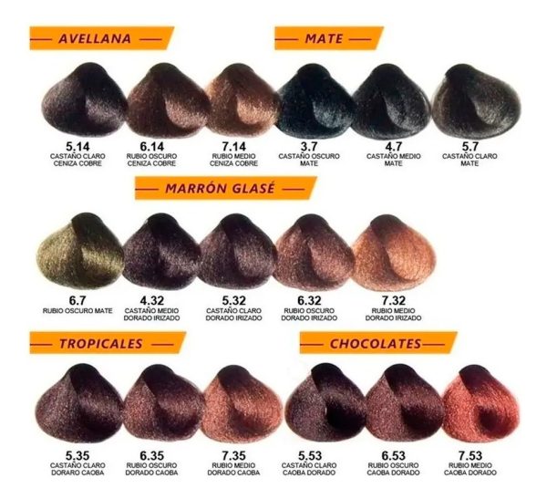 12 Tinturas Alfaparf Evolution Coloracion A Eleccion X 60 Gr - Image 6