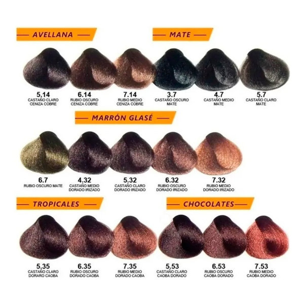 12 Tinturas Alfaparf Evolution Coloracion A Eleccion X 60 Gr - Image 6
