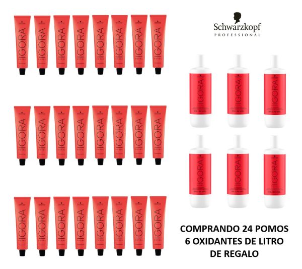 Schwarzkopf Igora Royal Kit 24 Tinturas + 6 Oxidantes 1 Lt