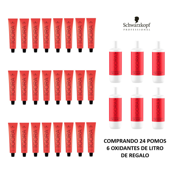 Schwarzkopf Igora Royal Kit 24 Tinturas + 6 Oxidantes 1 Lt