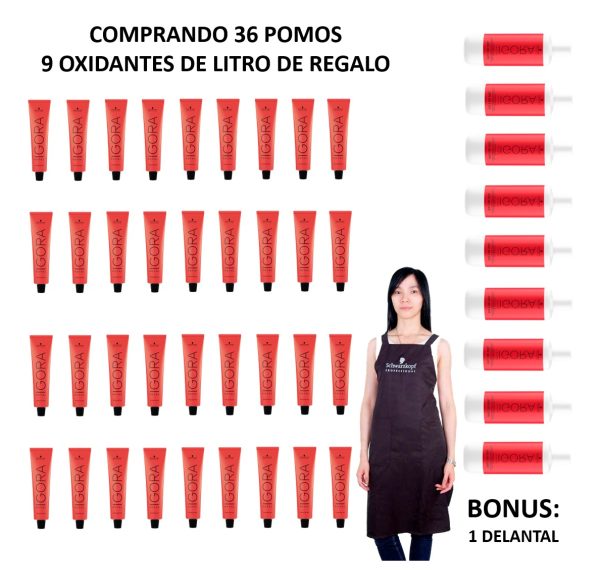 Schwarzkopf Igora Royal Kit 36 Tinturas + 9 Oxidantes 1lt