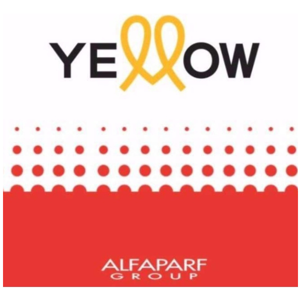 Shampoo Yellow Silver Alfaparf Rubios Grises Mechas Blancos - Image 2