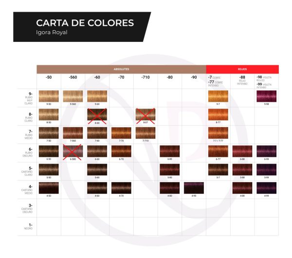 Kit X2 Tintura + Oxidante Igora Royal Coloracion Schwarzkopf - Image 28