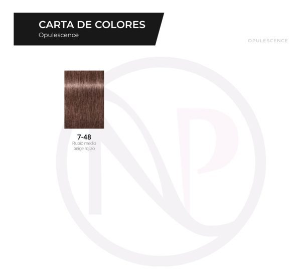 Kit X2 Tintura + Oxidante Igora Royal Coloracion Schwarzkopf - Image 23
